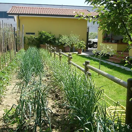 Nonna Alda Bed & Breakfast Viareggio