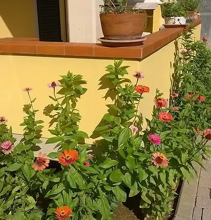 Nonna Alda 3*