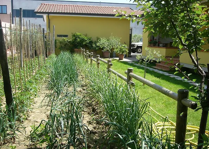 Nonna Alda Bed & Breakfast Viareggio