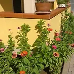 Nonna Alda 3*