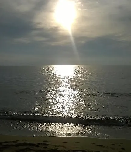 Nonna Alda 비아레지오