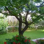 Bed & Breakfast Nonna Alda 3*